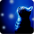 Lovely Snowfall Live Wallpaper1.40