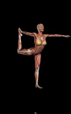 Anatomy for Artists: Yoga Poseのおすすめ画像4