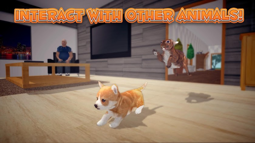 Bunny Simulator Screen 3