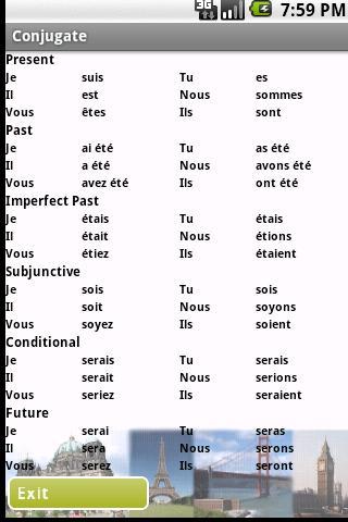 French Verbs Reference Basic- screenshot