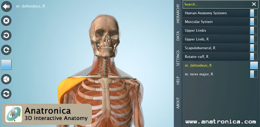 Anatomy 3D Pro - Anatronica -  apk apps