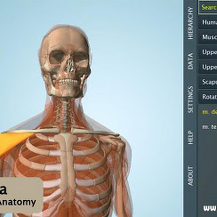 Anatomy 3D Pro – Anatronica v2.0.6 Apk Full App