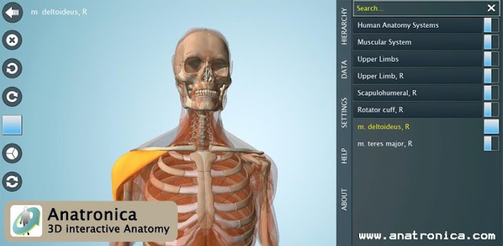 Anatomy 3D Pro - Anatronica