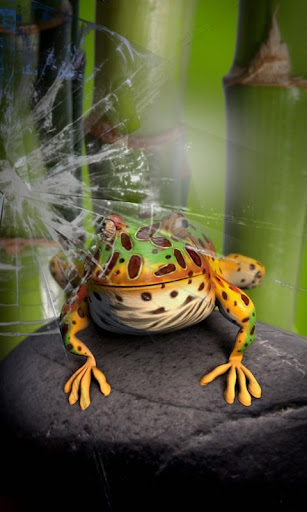 Toad live wallpaper