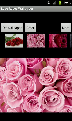 【免費攝影App】Love Roses Wallpaper-APP點子