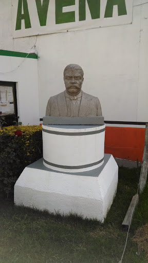 Cabeza De Emiliano Zapata