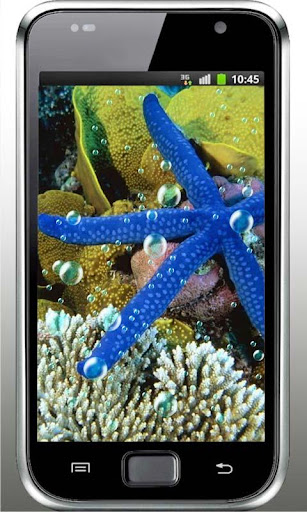 Sea Stars Free HD LWP