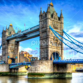 Tower Bridge by Lukas Proszowski - Buildings & Architecture Bridges & Suspended Structures