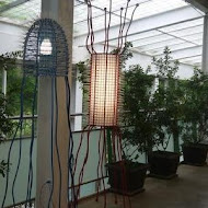 香草菲菲 芳香植物博物館