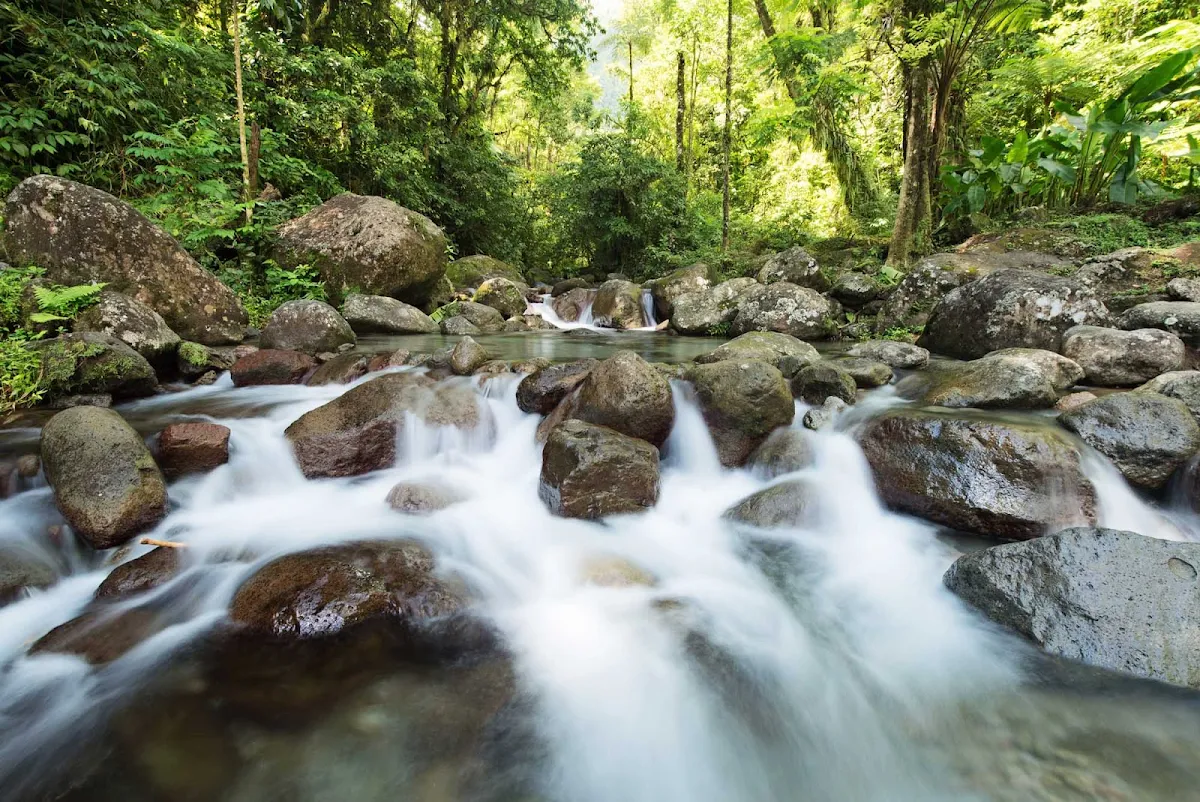 Martinique-stream-and-rocks - Along the streams in the forests of Martinique you'll see fish, shells, lizards and wildlife. 