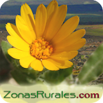Cover Image of डाउनलोड Casas Rurales en Zonas Rurales 3.9 APK