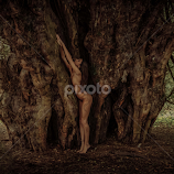 Silver Wood Nymph by Porlus At Maelstrom -  