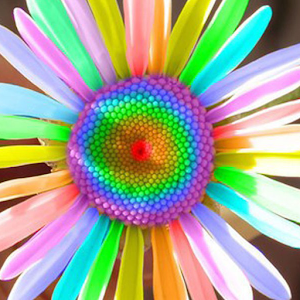 Best puzzles.apk 1.02