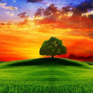 Sunset Wallpapers 1.9.0