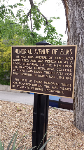 Memorial Avenue of Elms