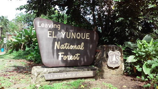 Leaving El Yunque National Forest