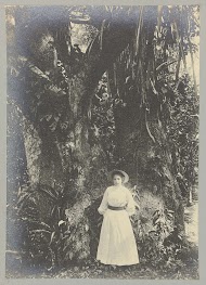 To bij woudreus op Tourtonne