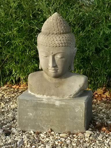 Buddha's Kopf