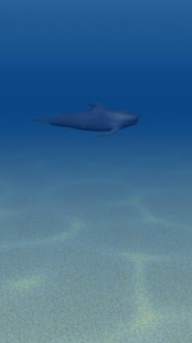 Ocean 3D Screenshots 3