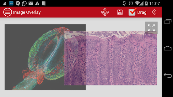 mVision Screenshots 8