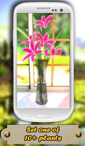 Flowers 3d LWP