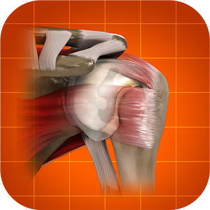iTraumApp Shoulder Pro logo