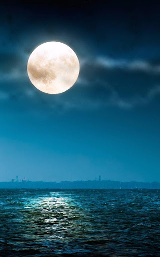 Moonlight Live Wallpaper