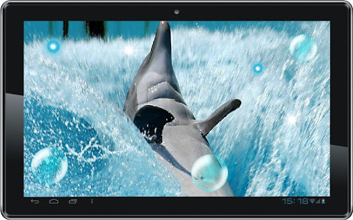 【免費個人化App】Dolphins Photo live wallpaper-APP點子