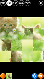 Tile Puzzle: Cute Kittens poster 5