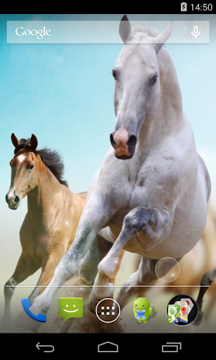 Horses Live Wallpaper