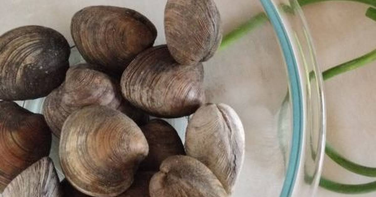 10 Best Fresh Littleneck Clams Recipes Yummly