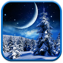 Winter Night Wallpaper mobile app icon