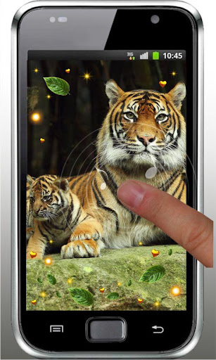 免費下載個人化APP|Tiger Love live wallpaper app開箱文|APP開箱王