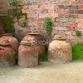 Ali Baba Pots by Dunstan Vavasour - Artistic Objects Still Life