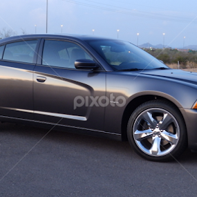 The Charger by Heather Parrish - Transportation Automobiles