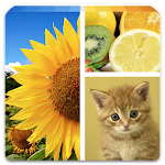 Cover Image of Download Photo Collage Editor 1.12 APK