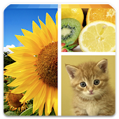 Photo Collage Editor