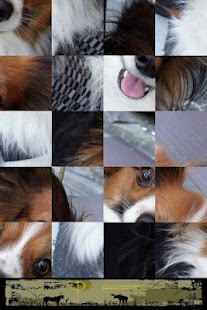 How to download Dog Puzzle: Papillon 3.0.1.0 unlimited apk for laptop