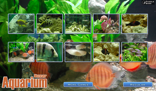 Discover: Aquarium