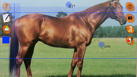Horse Conformation Screenshots 5