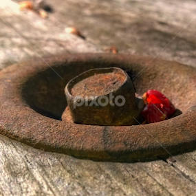 Bolted by Jeannie Love - Artistic Objects Other Objects