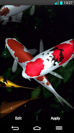 fond d'ecran anime carpe koi