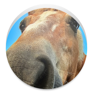 競馬レース結果統計 天皇賞を統計情報から予想しよう logo