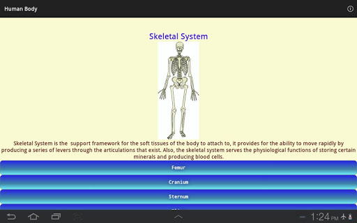 【免費教育App】Human Body - Anatomy-APP點子