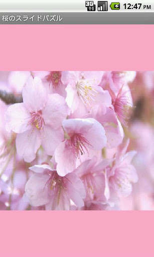 桜のパズル