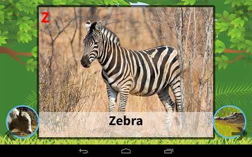 ABC Animals Flash Card Screenshots 9