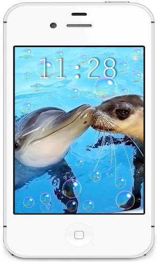 Dolphins Beach live wallpaper