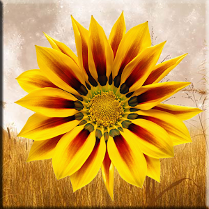 Fall Harvest Flowers.apk Varies with device