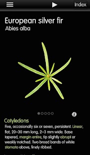 How to mod Forest Seedlings lastet apk for pc