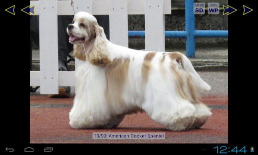 Download Dog Wallpaper Gallery APK for Android